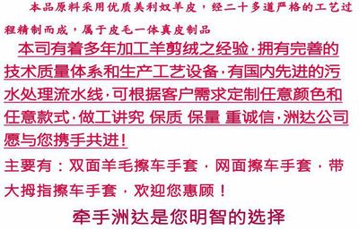 源头工厂批发订做双面羊毛洗车手套 清洁 除尘 洗车手套